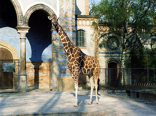 Berlin Zoolojik Bahçesi, Berlin
