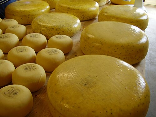 Gouda peyniri